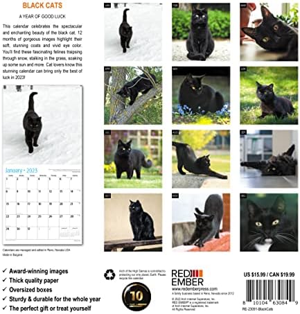 חתולים שחורים של אמבר אדום 2023 לוח השנה החודשי לתלייה | 12 x 24 פתוח | נייר עבה ויציב | מתנה | חתלתול